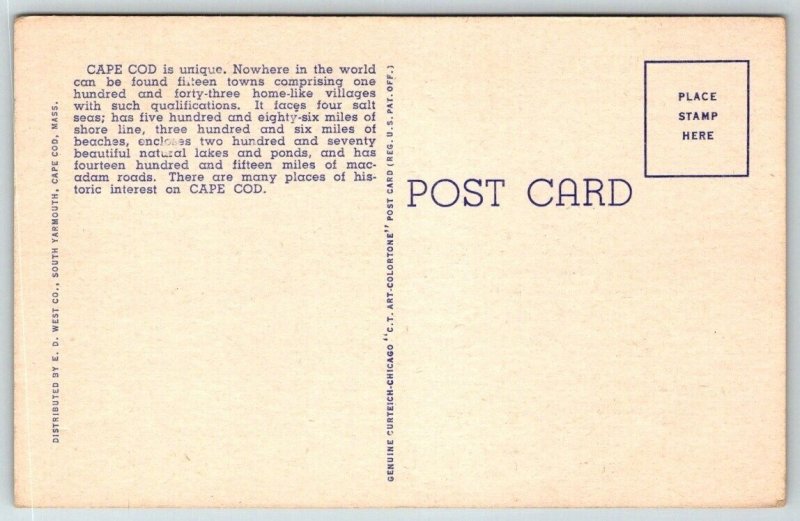 That's Cape Cod Massachusetts   Postcard