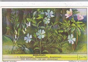 Liebig Trade Card S1568 Forest Flowers No 1 Salomonszegel Maagdenpalm & Bosan...