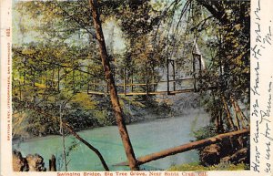 Swinging Bridge Big Tree Grove Santa Cruz CA