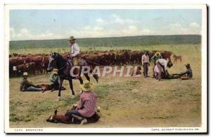 Postcard Old Cowboy Branding Cows