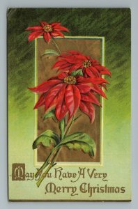 Poinsettia Flower Red Merry Christmas Gold Embossed Postcard 