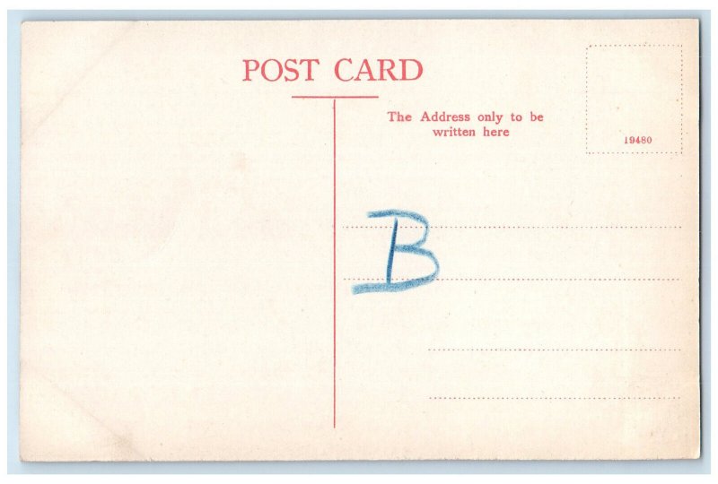 c1910 Liederkranz Club Johannesburg South Africa Unoposted Antique Postcard