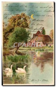 Old Postcard transparent card Swans Houses