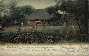 Veracruz Mexico MX Medelin Indigenous Hut c1910 Vintage Postcard