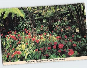 Postcard Anthurium Blossoms and Tree Ferns, Hawaii