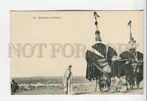 438879 French Africa Sahara Desert heavily loaded camels Vintage postcard