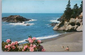 Pacific Ocean Seacoast, Beach, Rhododendrons, Oregon, Washington, 1969 Postcard