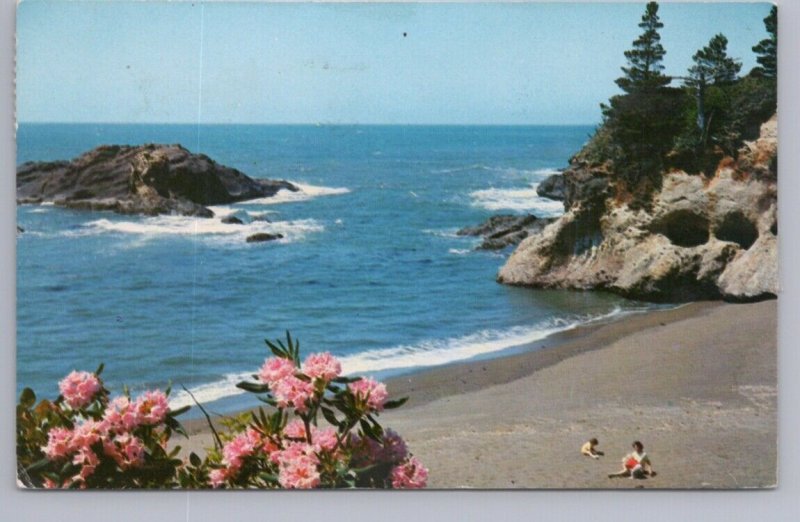 Pacific Ocean Seacoast, Beach, Rhododendrons, Oregon, Washington, 1969 Postcard