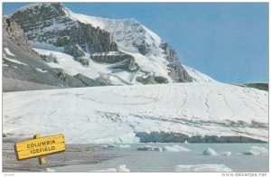 The Columbia Icefields, Canadian Rockies, Between Jasper and Lake Louise, Alb...