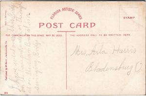 Jacksonville, Florida: St. Johns River View with Bridge