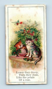 1880's-90's Victorian Card Poem Two Adorable Cats Holly P184