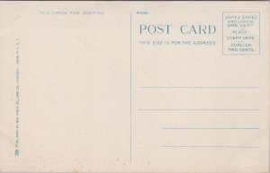 Boston Store Chicago Illinois Postcard C091