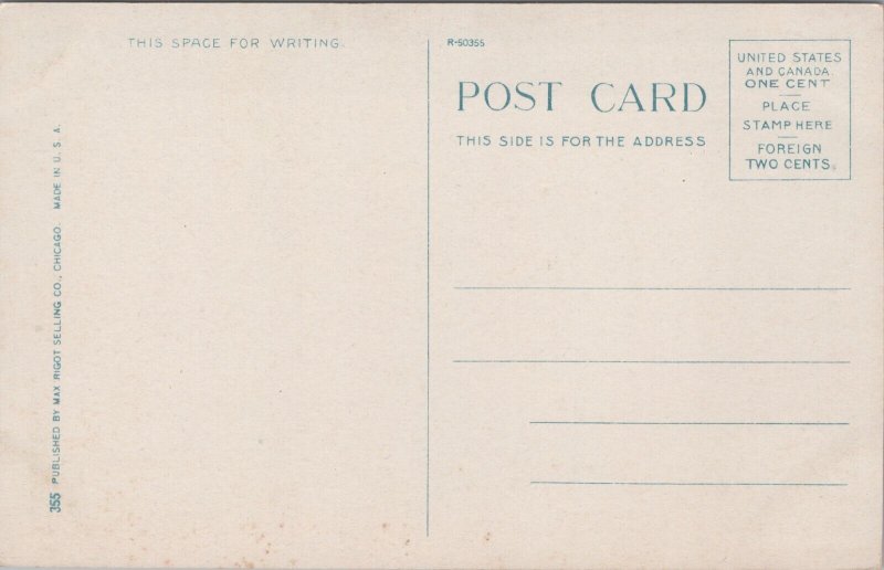 Boston Store Chicago Illinois Postcard C091