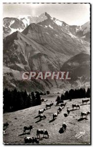 Postcard Ancient Landscapes Alpestres Pasture