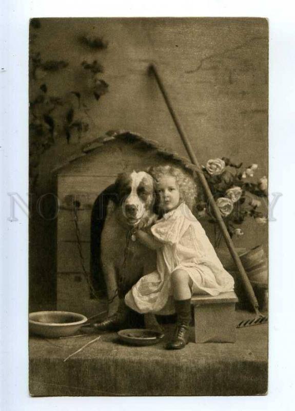 233691 Cute Girl & SAINT BERNARD St.Bernard Dog Vintage PC