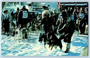 c1950's Sled Dog Races Competitors Dogs Entry Snowy View Ely Minnesota Postcard