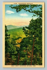 Gatlinburg TN-Tennessee Thunderhead Mountain Great Smoky Mountain Linen Postcard 