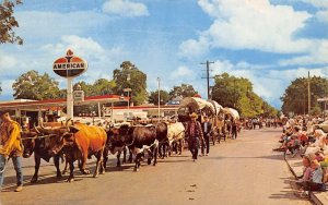 Westward Ho! Parade Covered Wagons Pendleton, Oregon Street Scene OR Postcard