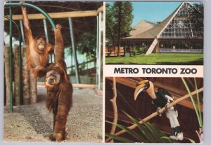 Metro Toronto Zoo, Ontario, Canada, Chrome 3 Views Multiview Postcard #2