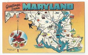 MD Maryland Map Greetings Landmarks State Bird Flower Vintage 1950s Postcard