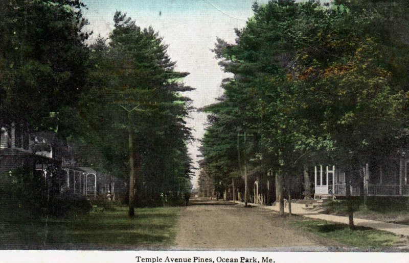 Ocean Park, Maine - The Temple Avenue Pines - in 1916