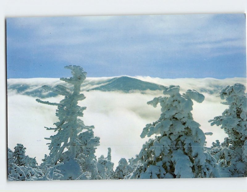 Postcard Killingtons summit, as viewed from neighboring Pico, Beautiful Vermont