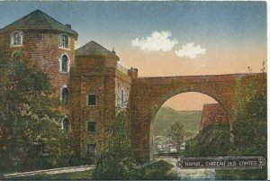 Belgium Postcard - Namur - Chateau Des Comtes - Ref TZ6946