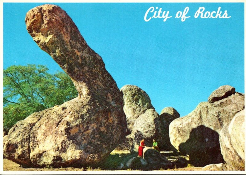 New Mexico City Of Rocks Dinosaur Rock