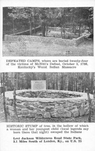 Levi Jackson Wilderness Kentucky McNitt's Defeat Graveyard Postcard AA54743