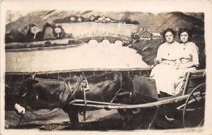 J46/ DeKalb Illinois RPPC Postcard c1910 Studio Mule-drawn Wagon Women 261