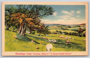Greetings From Vernon Ohio~Sheep Herd In Pasture Scene~Vintage Linen Postcard