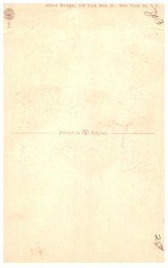 Dog ,  artist signed Alfred Mainzer