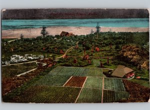 c1910 Birds Eye Aerial View Of Vegetable Garden JUNEAU Alaska AK Postcard