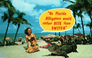 Florida FL Woman In Bikini Alligator Rather Bite Than Switch Beach Postcard 