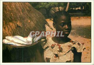 Postcard Modern Merchant Senegal fish