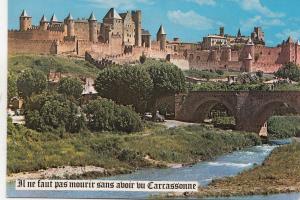 BF21861 vue generale carcassonne  france  front/back image