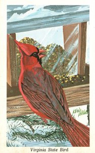 Vintage Postcard State Bird Cardinal Brilliant Color Official Bird Painting VA