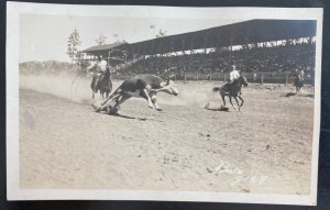 Mint USA Real Picture Postcard Rodeo Cowboys Bate Photo