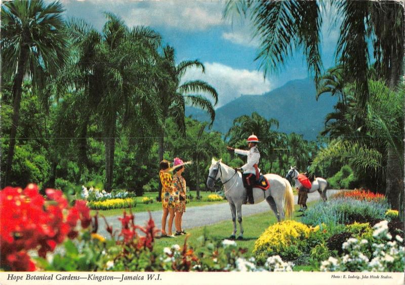 B95648 hope botanical gardens kingston jamaica horse riding caribbean