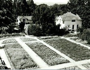 Vintage RPPC Luther Verbank Gardens Santa Rosa, CA Postcard P87