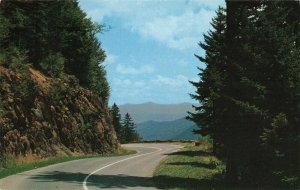 Postcard Clingmans Dome Highway Great Smoky Mountains Tennessee