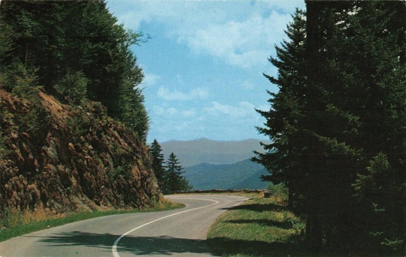 Postcard Clingmans Dome Highway Great Smoky Mountains Tennessee