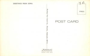 Greetings from, Iowa Postcard