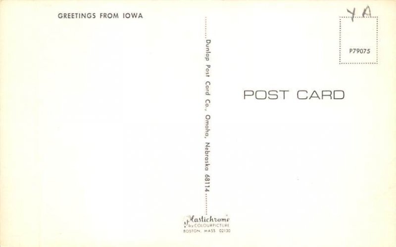 Greetings from, Iowa Postcard