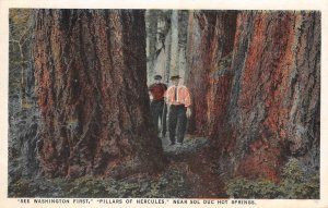 Pillars of Hercules Sol Duc Hot Springs, Washington ca 1920s Vintage Postcard