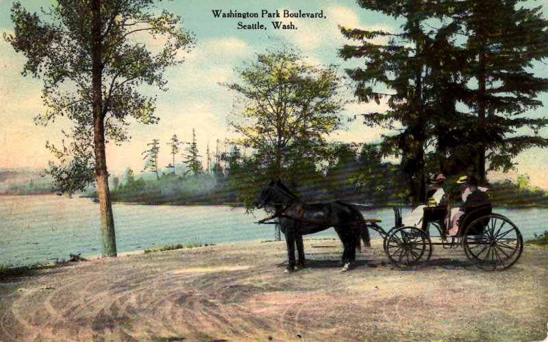 Seattle, Washington - Horse and buggy on Washington Park Boulevard - c1908