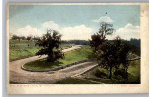 Old Postcard~Schenley Park Road~Pittsburgh,Pennsylvania