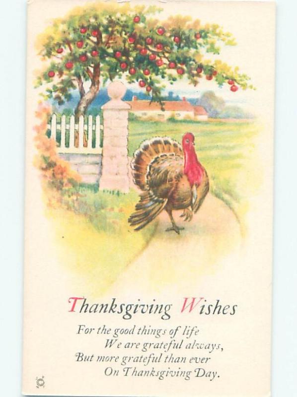 Divided-Back THANKSGIVING SCENE Great Postcard AA0687