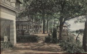 Grove Beach CT Homes c1910 Postcard