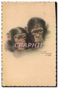 Old Postcard Monkey Paris International Colonial Exposition in 1931 Couple of...